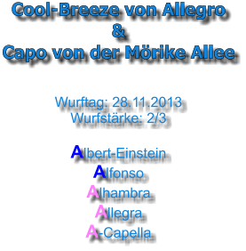 Cool-Breeze von Allegro & Capo von der Mrike Allee   Wurftag: 28.11.2013 Wurfstrke: 2/3  Albert-Einstein Alfonso Alhambra Allegra A-Capella